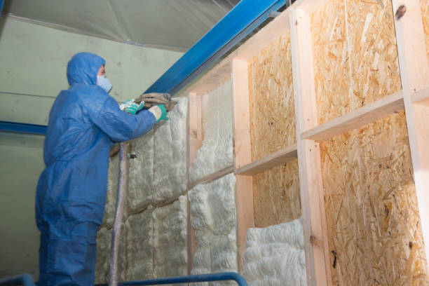 Best Wall Insulation Contractor  in Botkins, OH